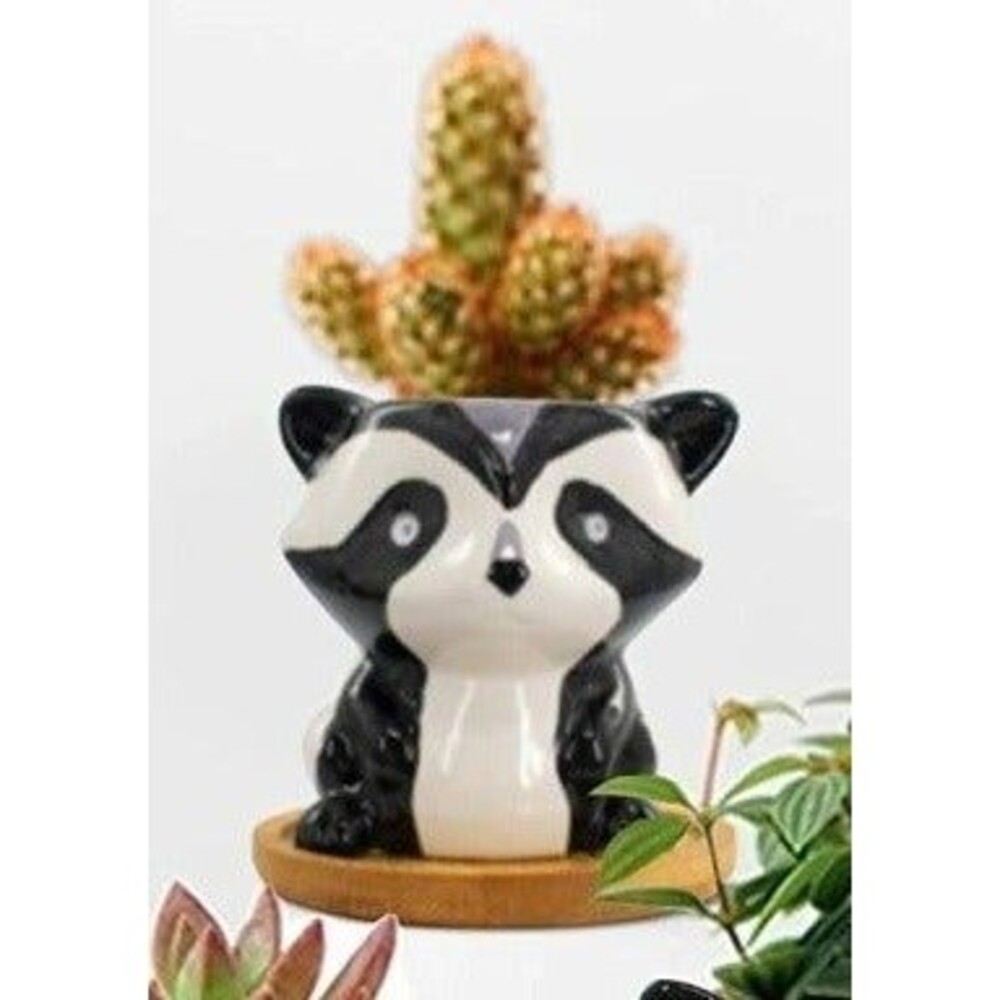 Ceramic Succulent Planter Racoon